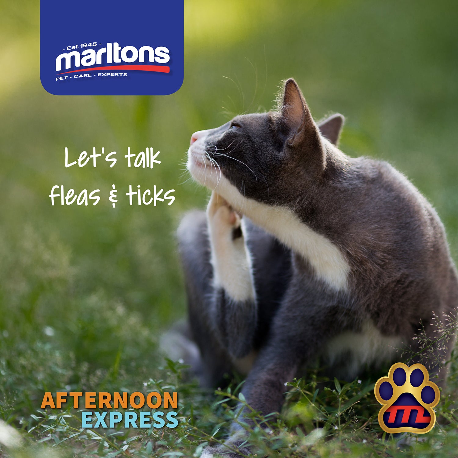 What is the difference between Ticks and Fleas?