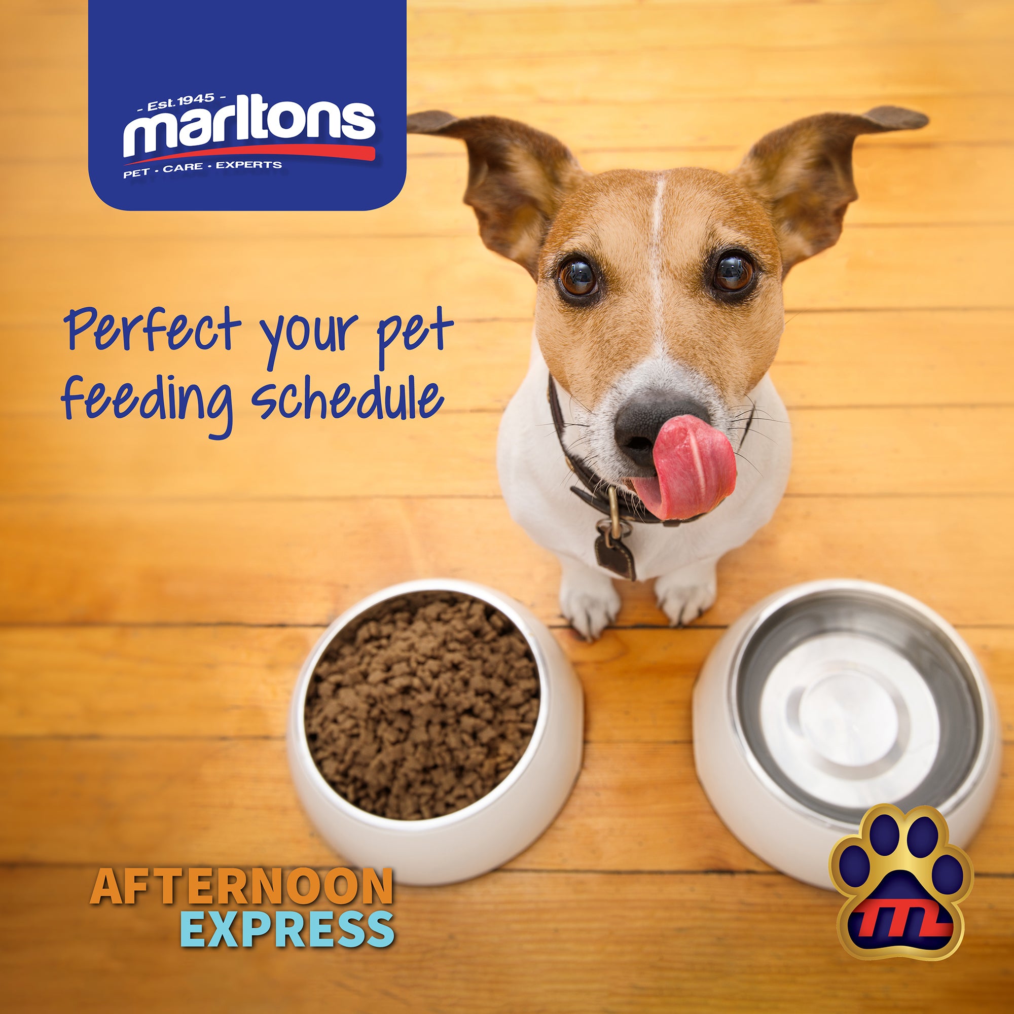 The Importance of a feeding schedule