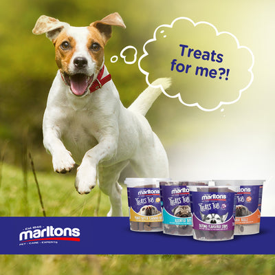 Tail-Wagging Marltons Semi-Moist Treat Tubs