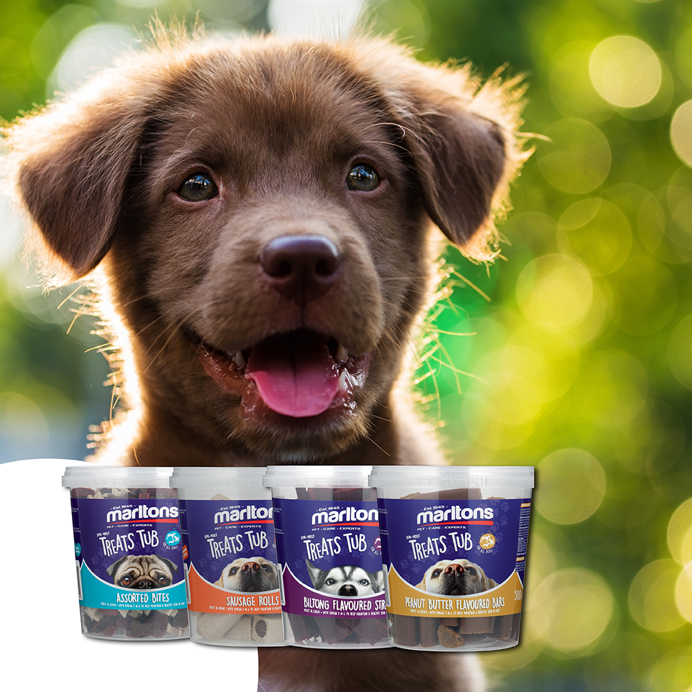 Semi-Moist Treats Tub