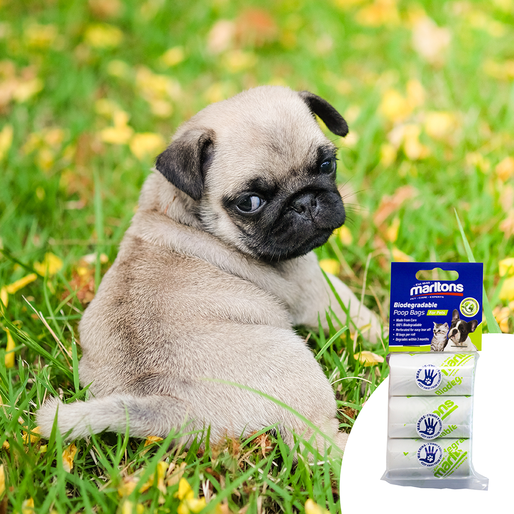 Biodegradable Poop Bags