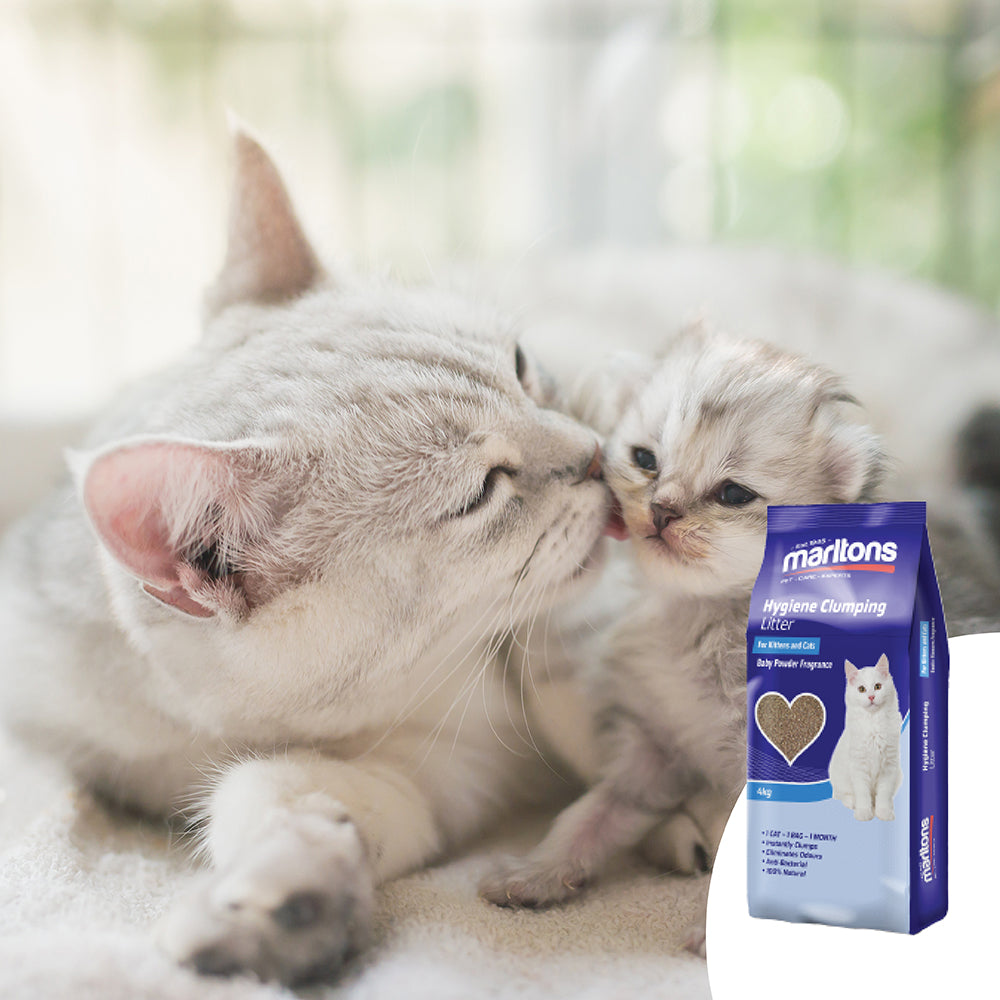 100% Natural Cat Litter