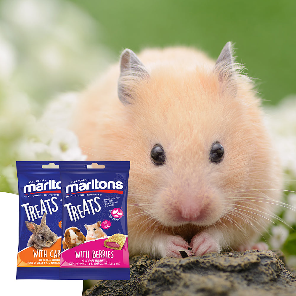 Source of Omega 3 & 6