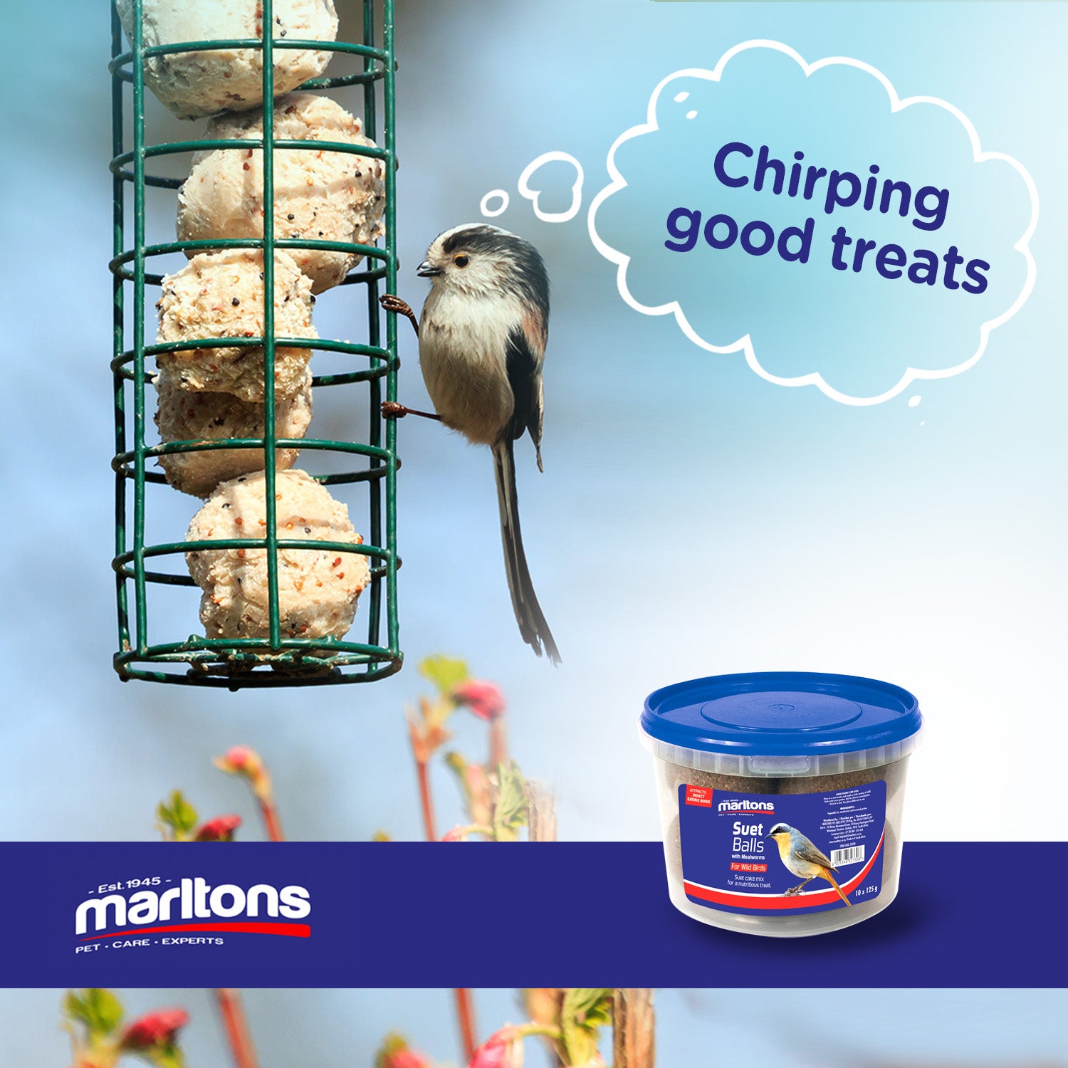 NEW Marltons Suet Balls For Wild Birds
