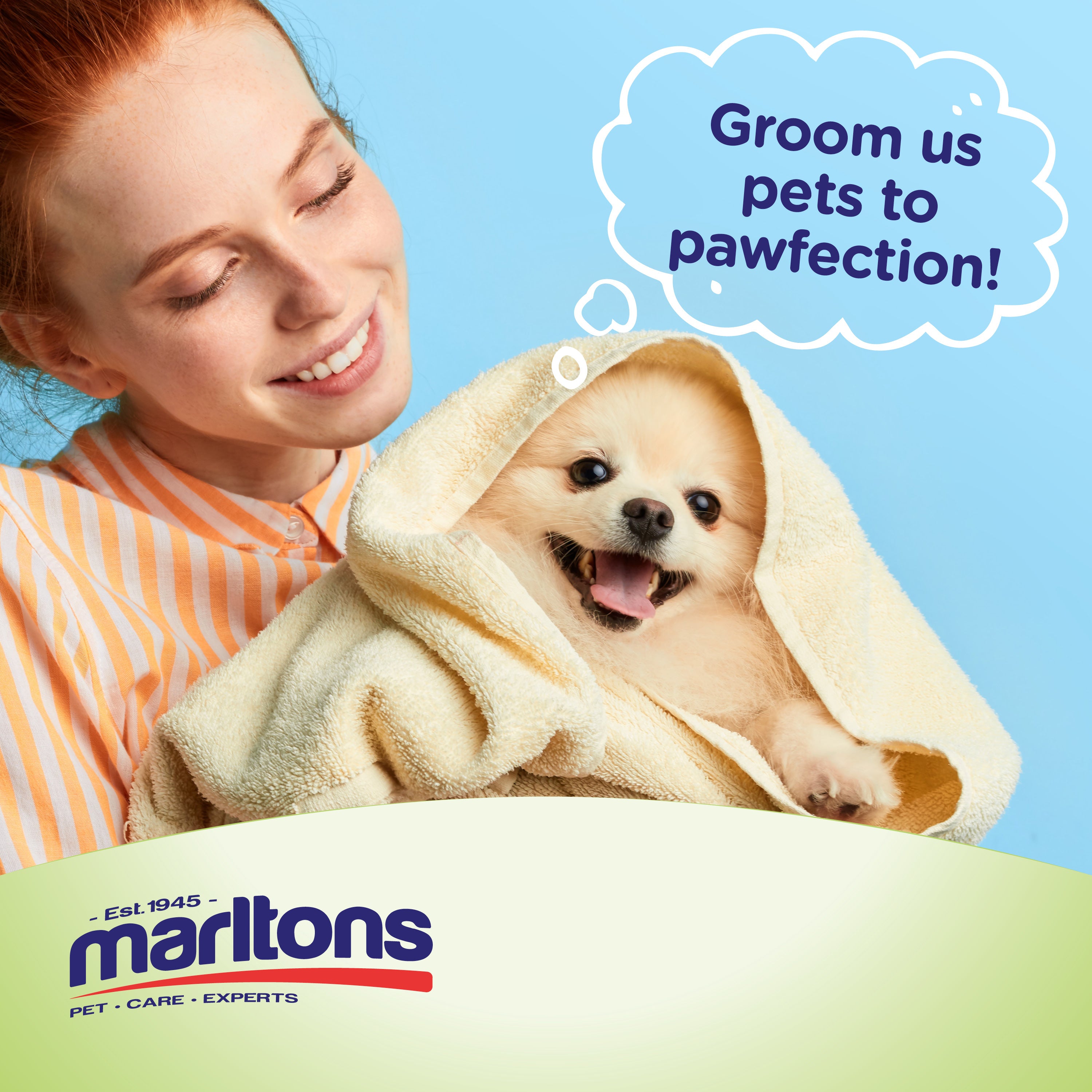 HOW TO GROOM YOUR DOG