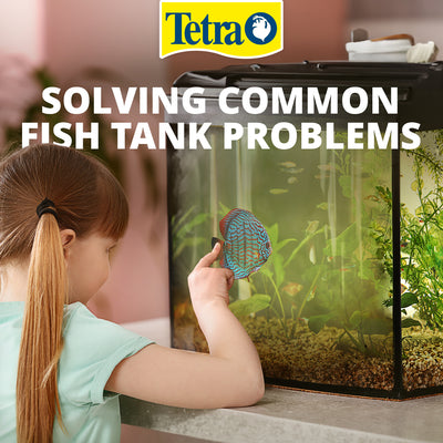 Getting to the bottom of Fish Tank Issues