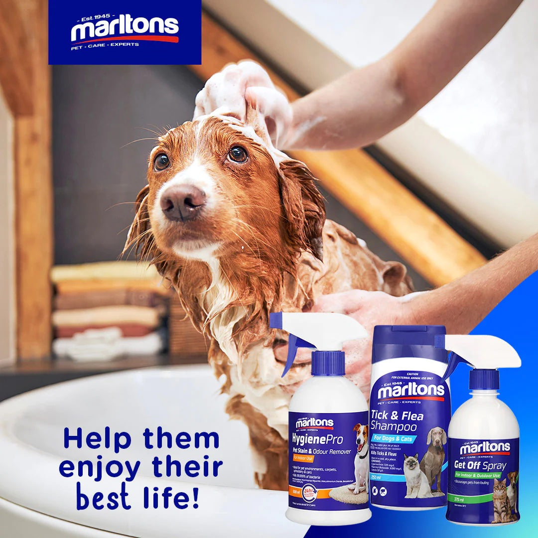 Marltons dog hot sale shampoo