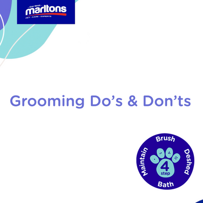 DOG GROOMING DO'S & DON'TS