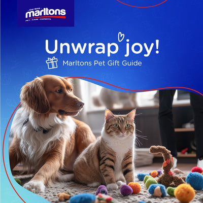 Gift Guide Blog: A Guide to Choosing the Right Toys for Your Pets