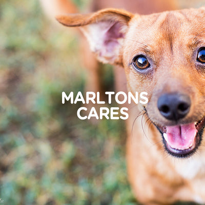 Marltons Cares