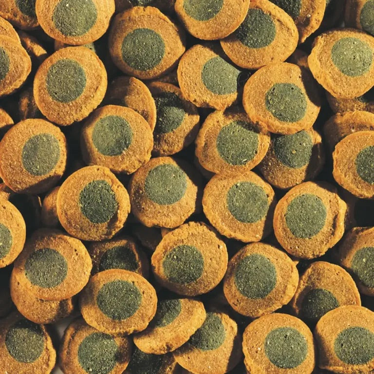 Pleco Spirulina Wafers 42g