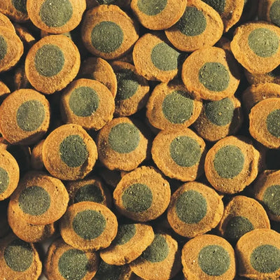 Pleco Spirulina Wafers 85g