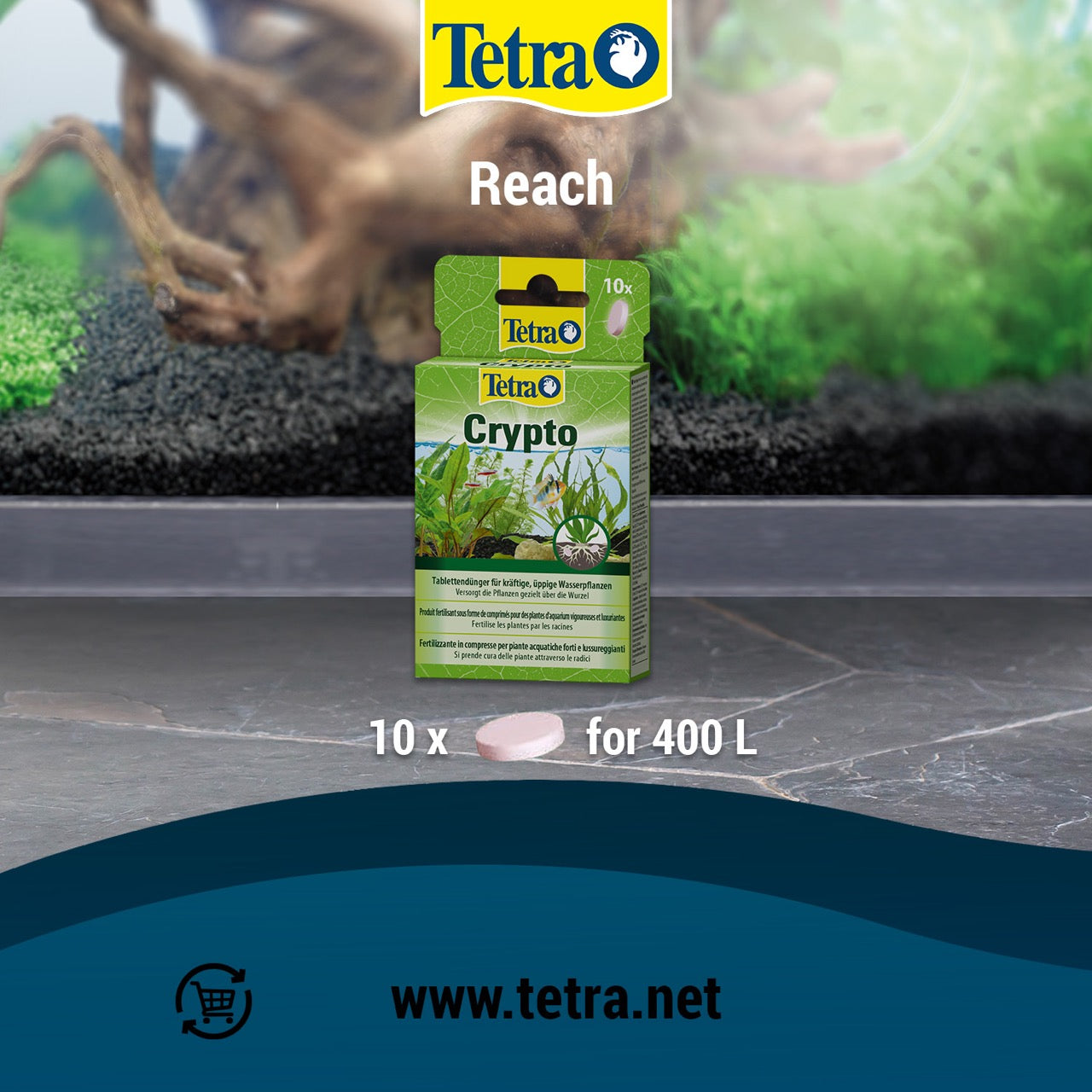 Tetra Crypto