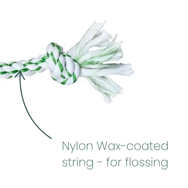 Canine Clean TPR Nylon Bone with Dental Rope