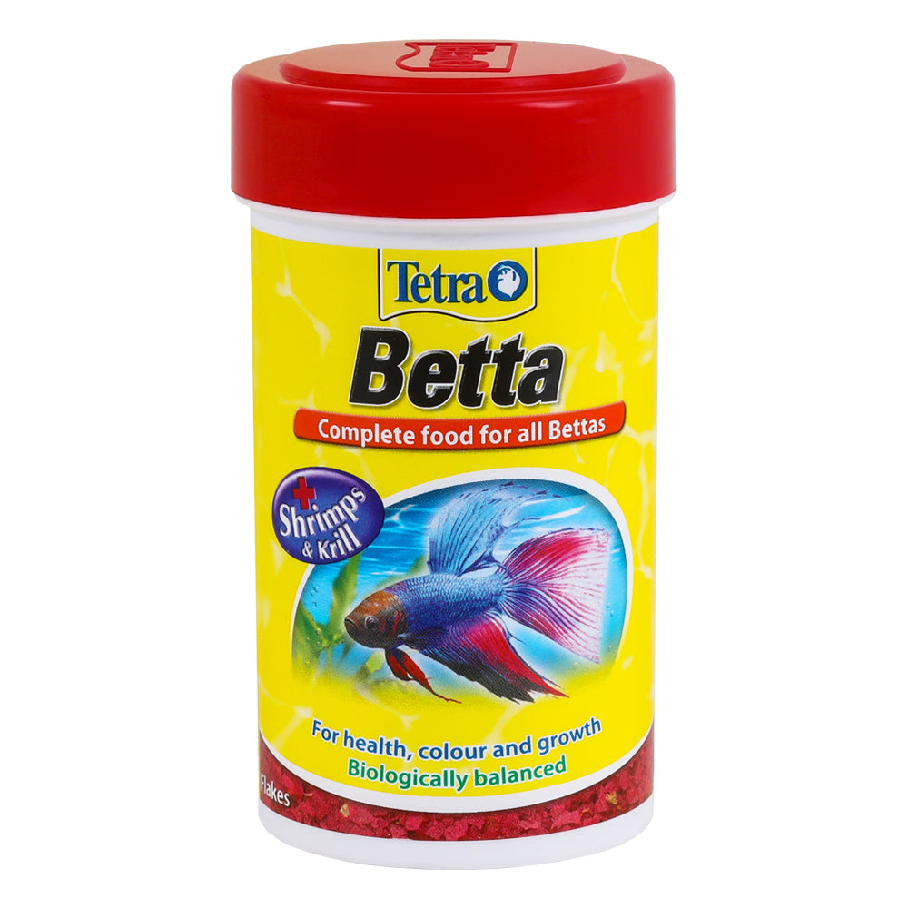 Tetra Betta