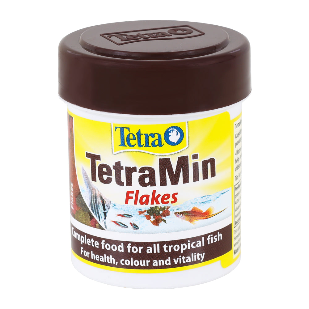 TetraMin Flakes
