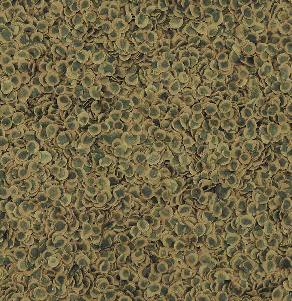 TetraPro Algae Crisps