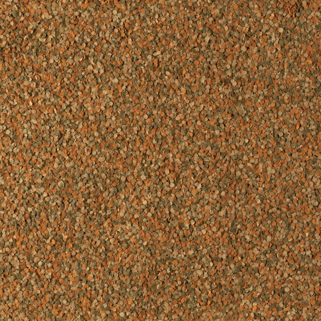 TetraMin Crisps