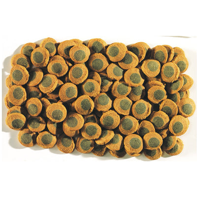 Pleco Spirulina Wafers