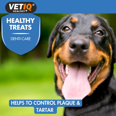 VetIQ: Healthy Treats Denti-Care For Dogs