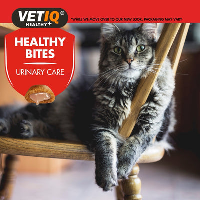 VetIQ: Healthy Bites Urinary Care for Cats