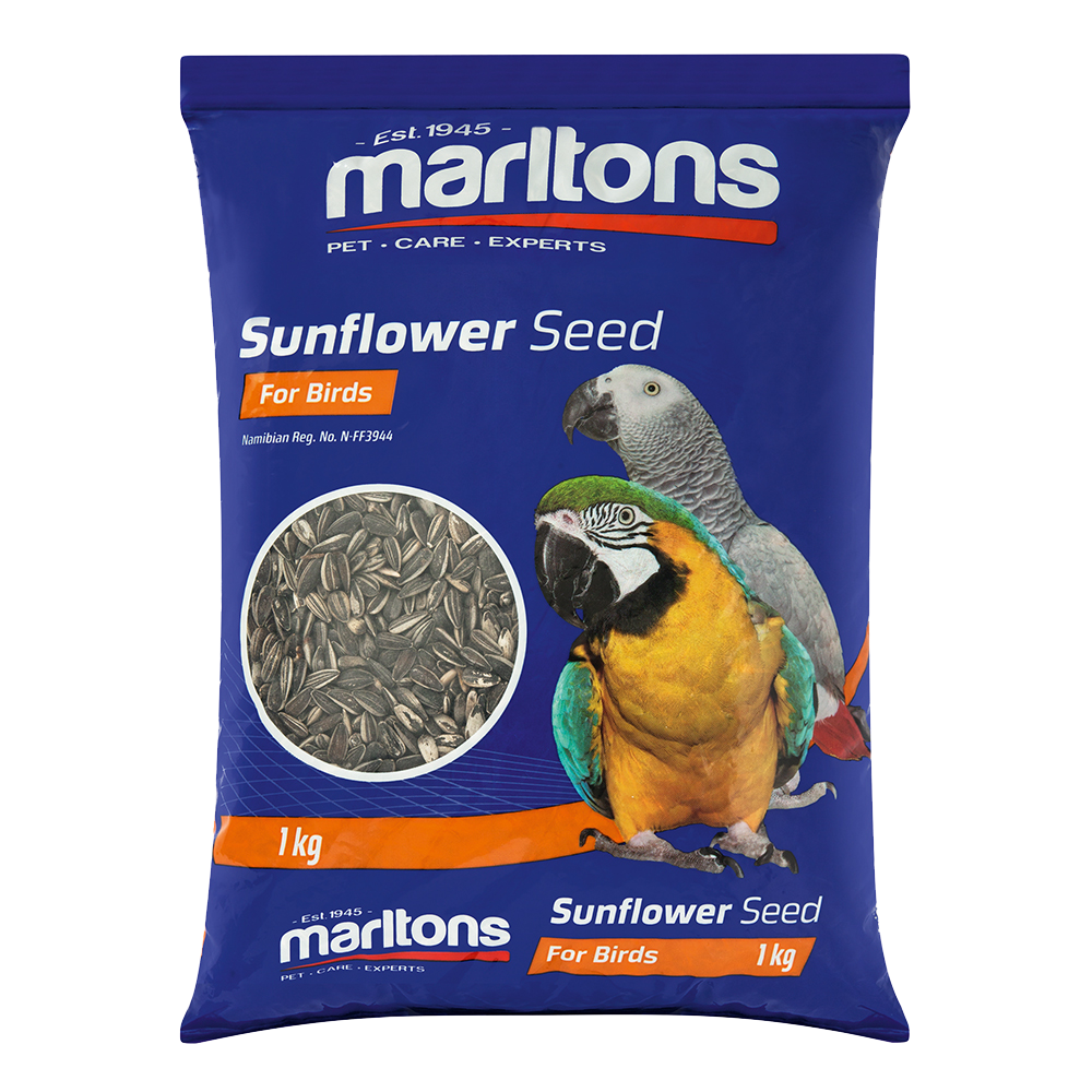 Sunflower Seed