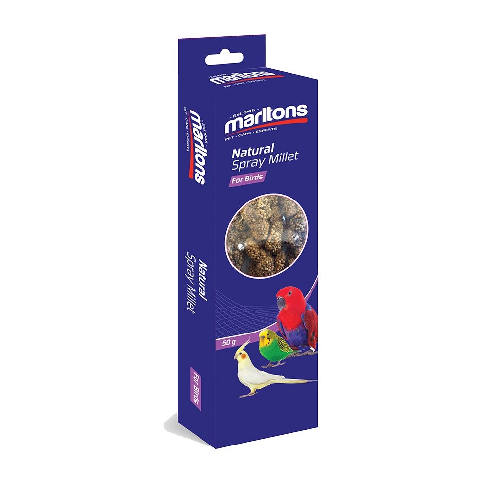 Spray Millet