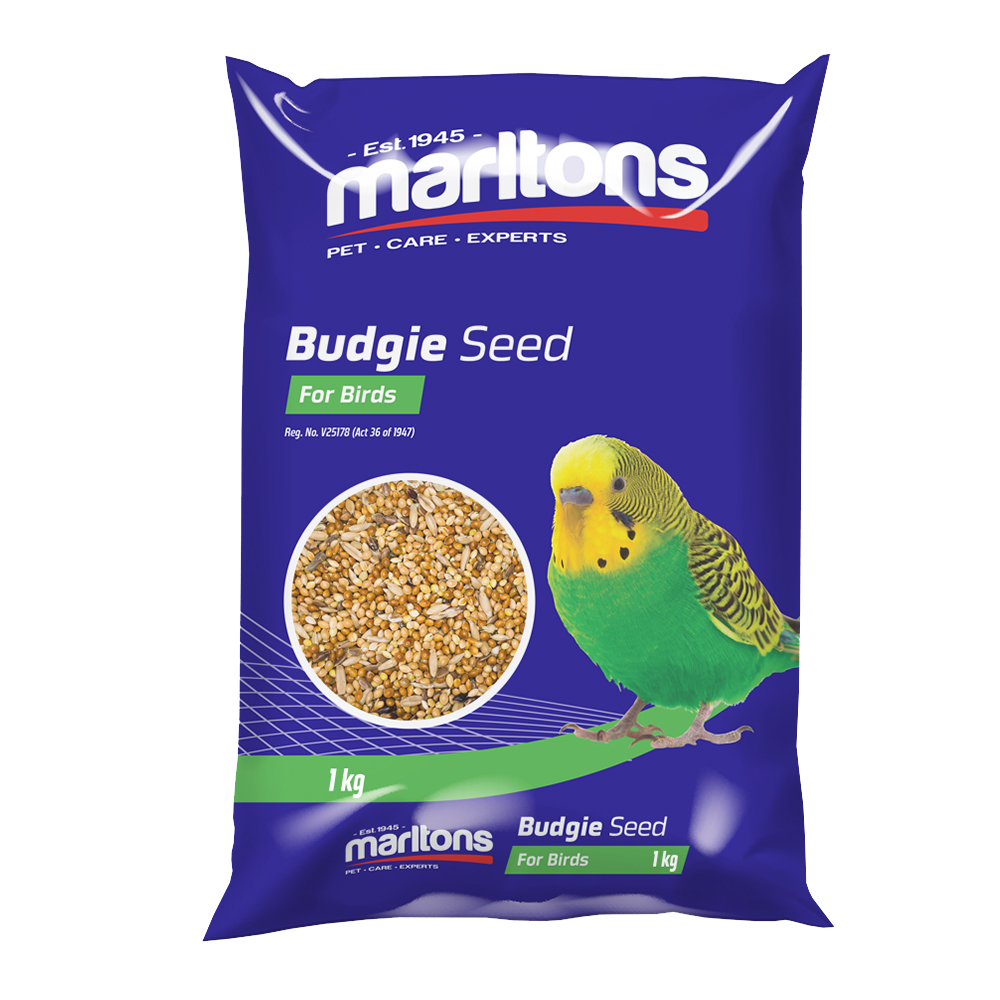 Budgie Seed