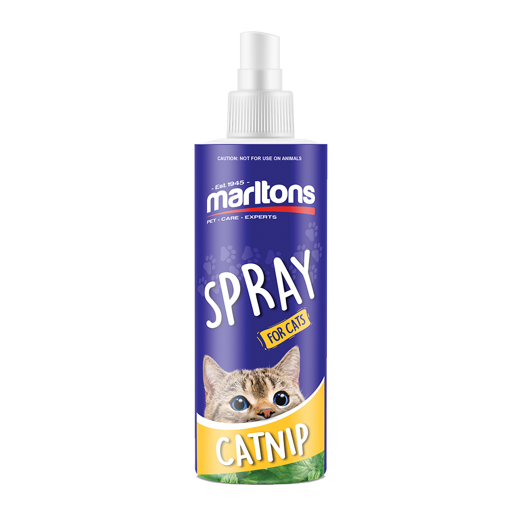 Catnip Spray