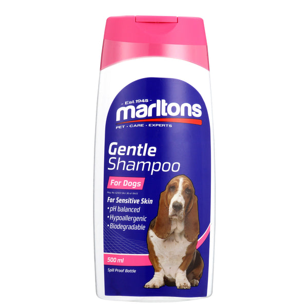 Gentle Shampoo For Dogs Marltons Pet Care Experts