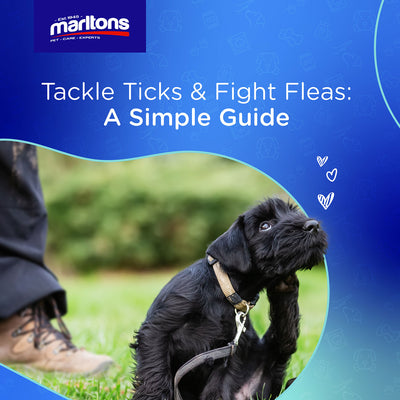 How to Tackle Ticks and Fight Fleas: A Simple Guide