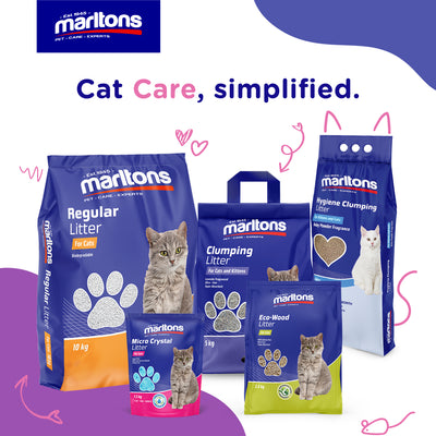 The Marltons Guide to Choosing the Best Cat Litter