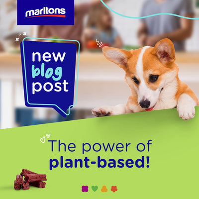 The Power of Marltons Plant-Based Veggie Bites Snacks