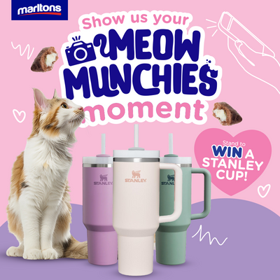 Marltons Meow Munchies Competiton
