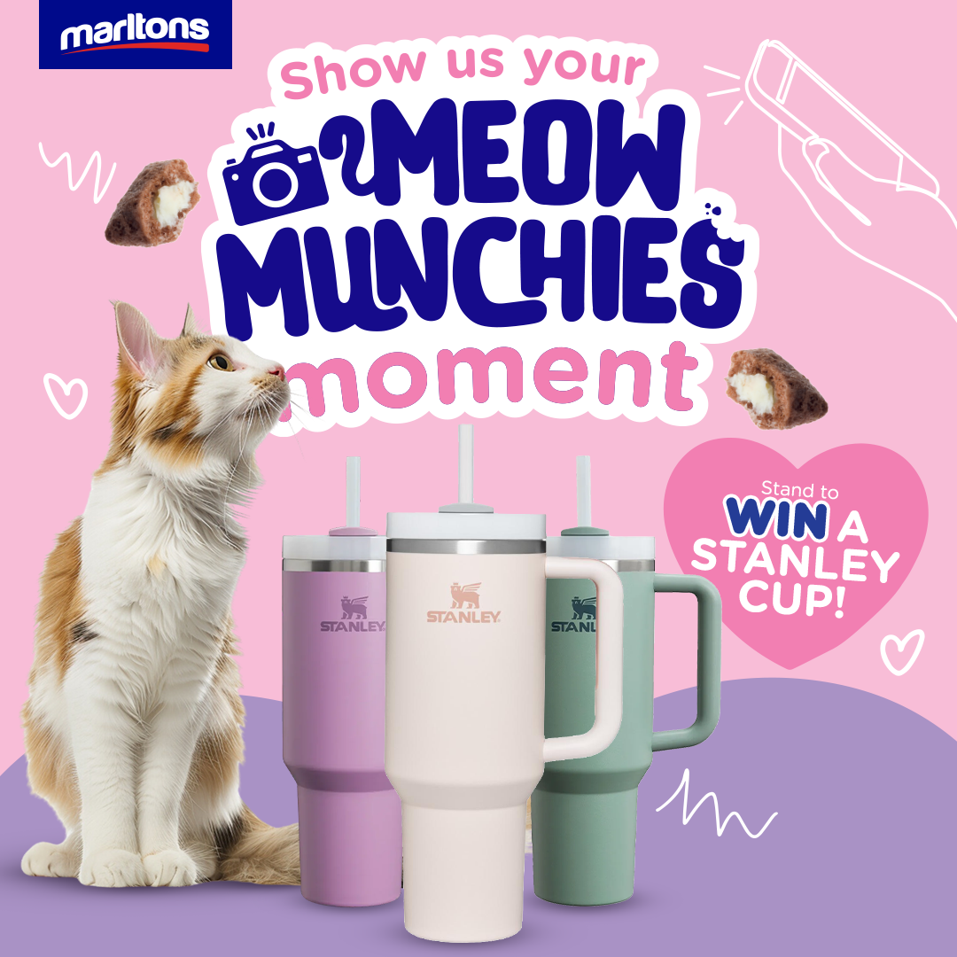 Marltons Meow Munchies Competiton