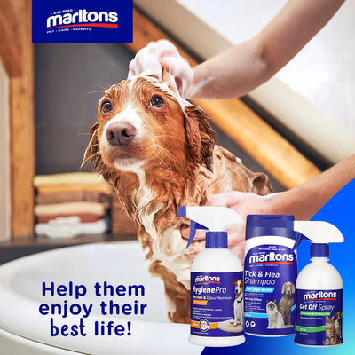 Your pet’s skin care is important – here’s why.