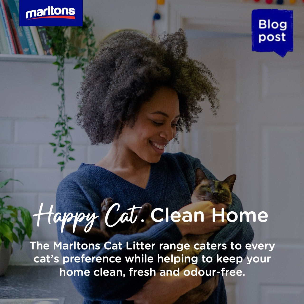 The Marltons Guide to Choosing the Best Cat Litter