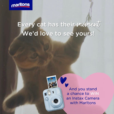 Meow Moments With Marltons Giveaway