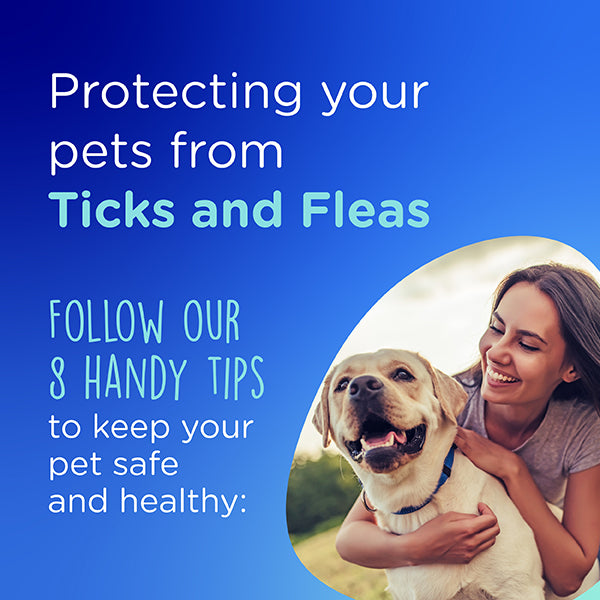 Your Marltons guide to tick and flea prevention and treatment.