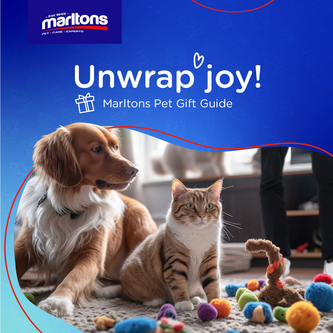 Gift Guide Blog: A Guide to Choosing the Right Toys for Your Pets