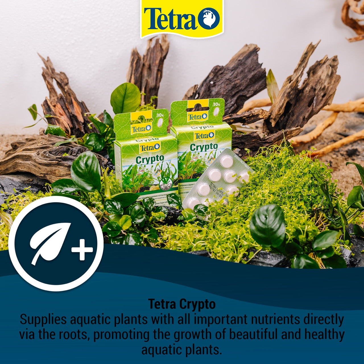 Tetra Crypto