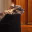 Striped Black Foam Bed (S,M & L)