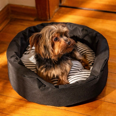Striped Black Foam Bed (S,M & L)