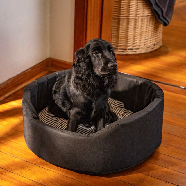 Striped Black Foam Bed (S,M & L)