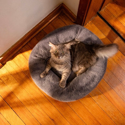 Grey Snuggle Pod