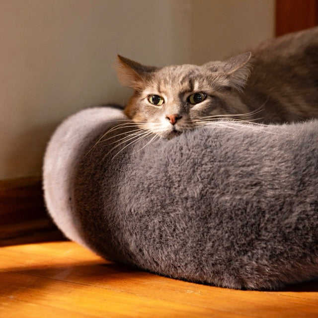 Grey Snuggle Pod