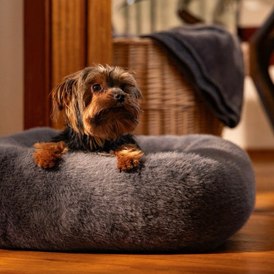 Grey Snuggle Pod