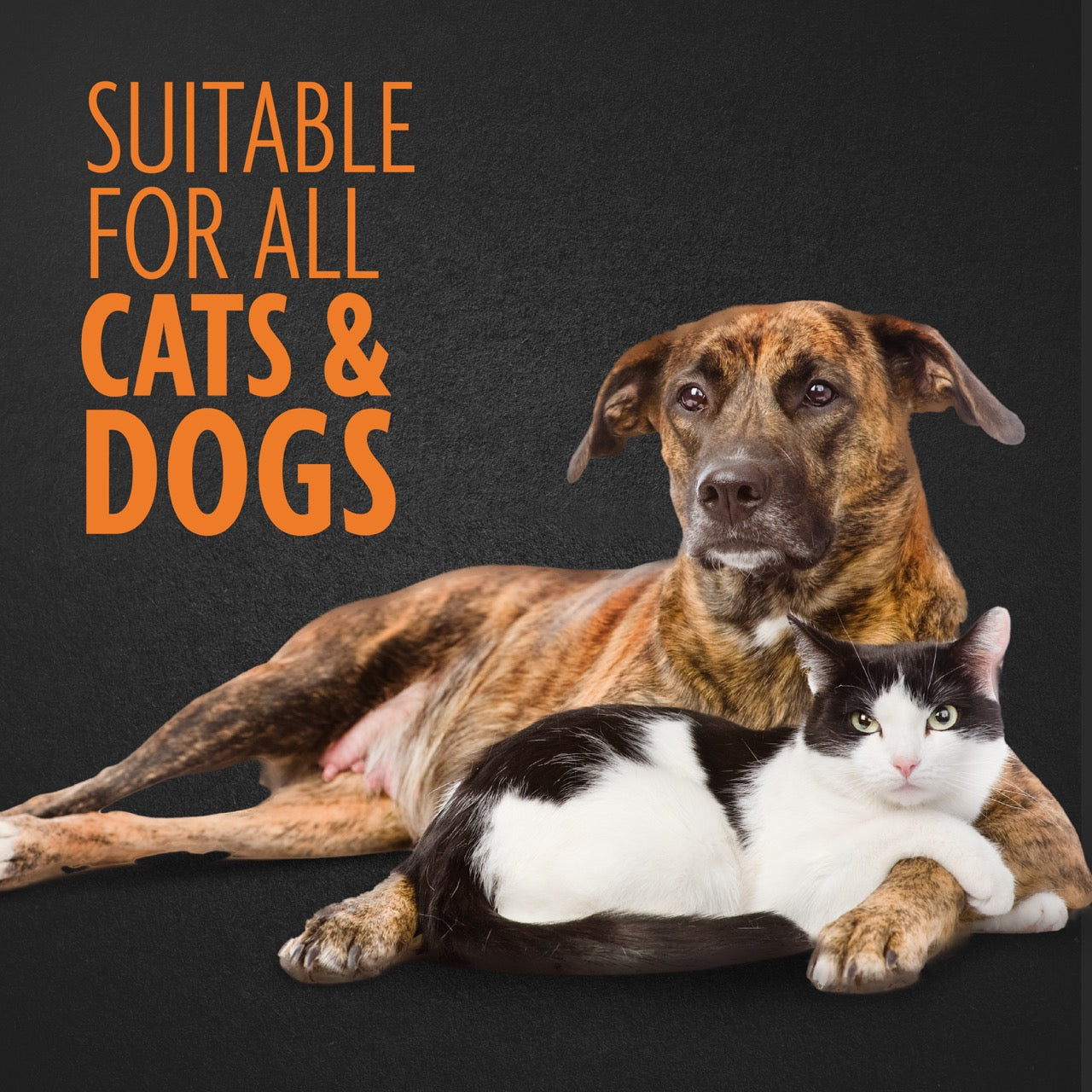FURminator® Slicker Brush Small