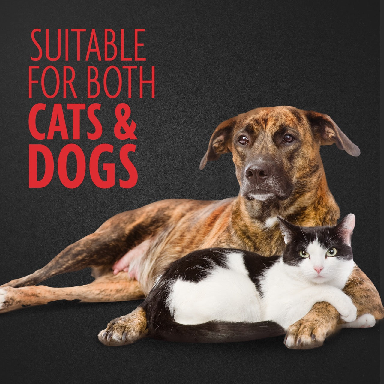 FURminator® Adjustable deMatter Tool