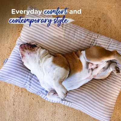 Pet Cushion Lounger Cappucino Stripe (Dogs)